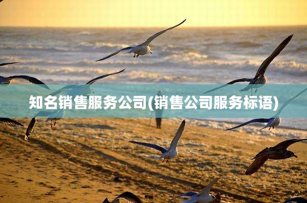 知名销售服务公司(销售公司服务标语)