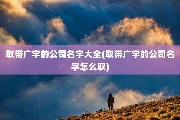 取带广字的公司名字大全(取带广字的公司名字怎么取)