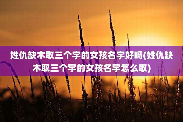姓仇缺木取三个字的女孩名字好吗(姓仇缺木取三个字的女孩名字怎么取)