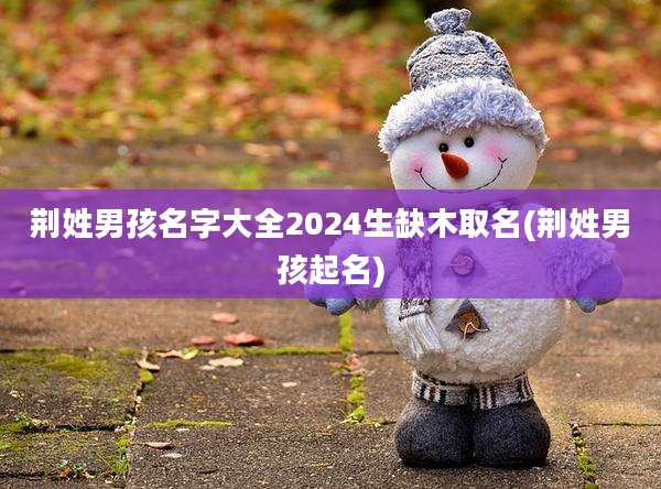 荆姓男孩名字大全2024生缺木取名(荆姓男孩起名)