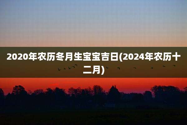 2020年农历冬月生宝宝吉日(2024年农历十二月)