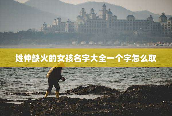 姓仲缺火的女孩名字大全一个字怎么取