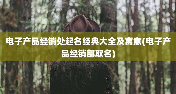 电子产品经销处起名经典大全及寓意(电子产品经销部取名)