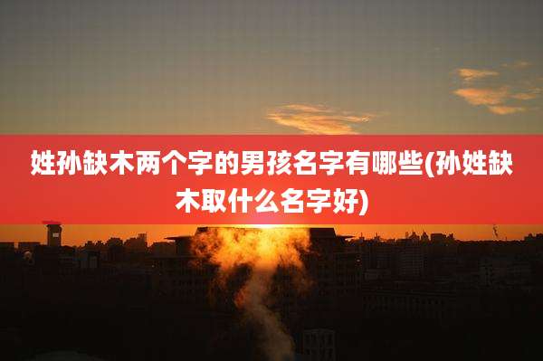 姓孙缺木两个字的男孩名字有哪些(孙姓缺木取什么名字好)