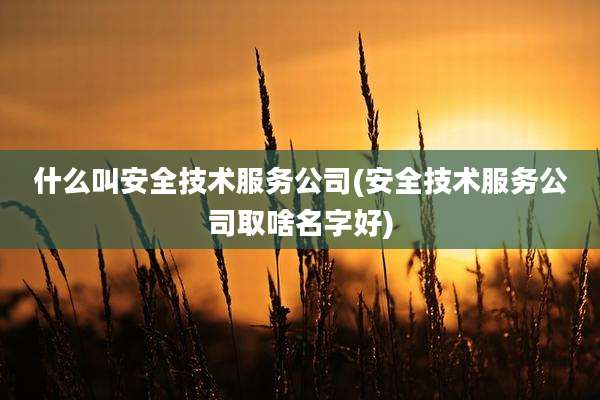 什么叫安全技术服务公司(安全技术服务公司取啥名字好)
