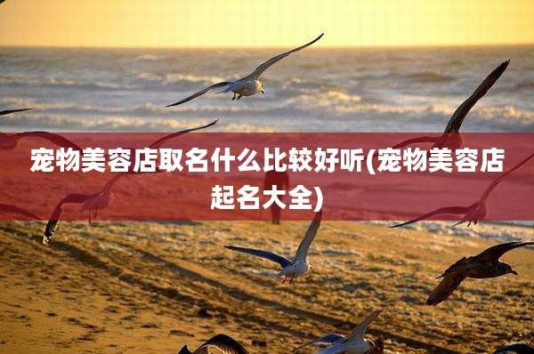 宠物美容店取名什么比较好听(宠物美容店起名大全)