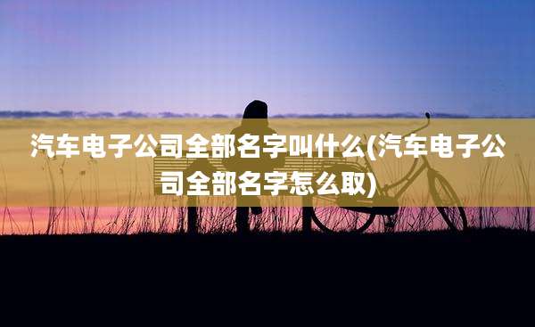 汽车电子公司全部名字叫什么(汽车电子公司全部名字怎么取)
