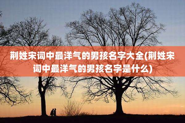 荆姓宋词中最洋气的男孩名字大全(荆姓宋词中最洋气的男孩名字是什么)