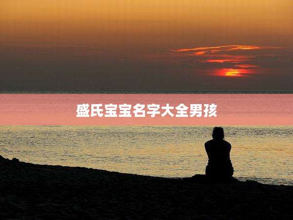 盛氏宝宝名字大全男孩
