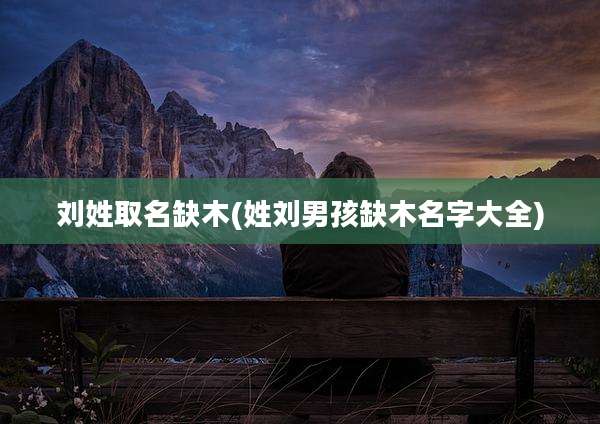 刘姓取名缺木(姓刘男孩缺木名字大全)