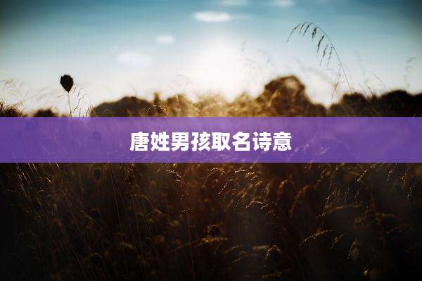 唐姓男孩取名诗意