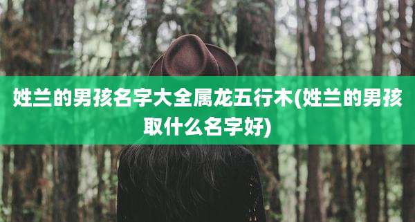 姓兰的男孩名字大全属龙五行木(姓兰的男孩取什么名字好)