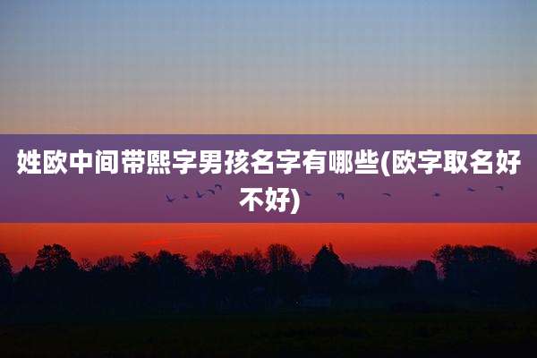姓欧中间带熙字男孩名字有哪些(欧字取名好不好)