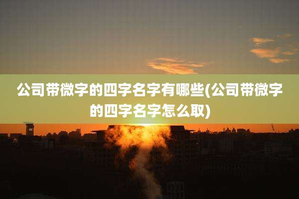 公司带微字的四字名字有哪些(公司带微字的四字名字怎么取)