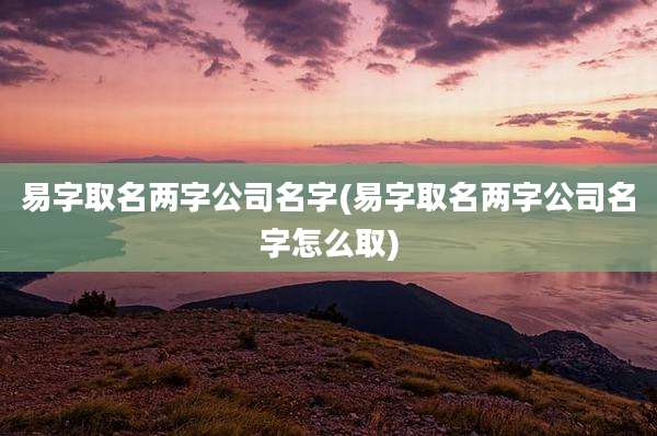 易字取名两字公司名字(易字取名两字公司名字怎么取)