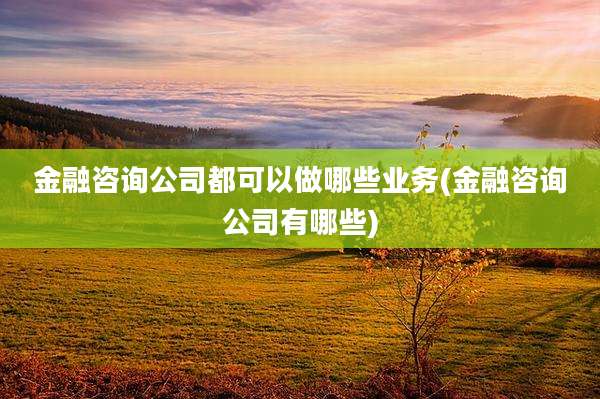 金融咨询公司都可以做哪些业务(金融咨询公司有哪些)