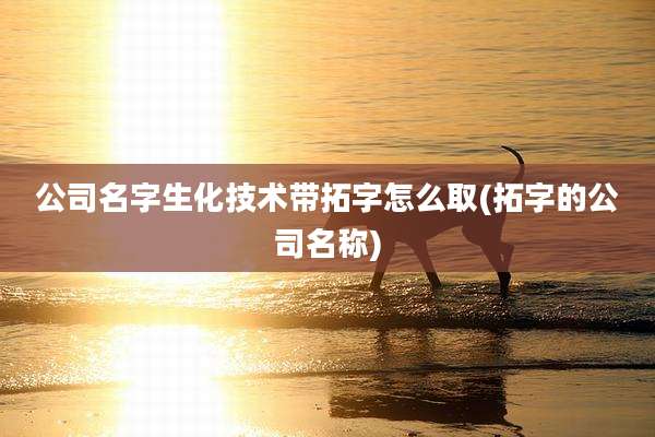 公司名字生化技术带拓字怎么取(拓字的公司名称)