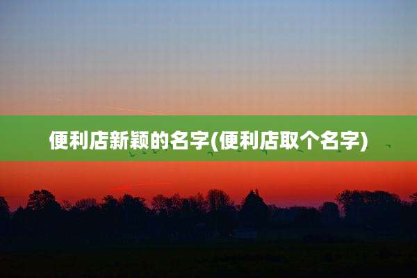 便利店新颖的名字(便利店取个名字)
