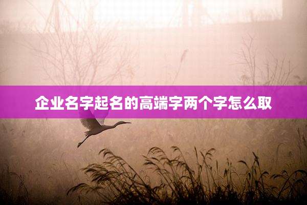 企业名字起名的高端字两个字怎么取