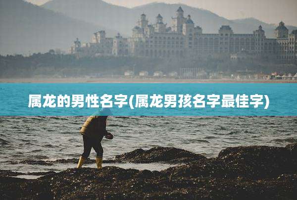 属龙的男性名字(属龙男孩名字最佳字)