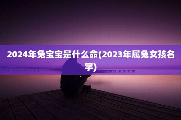 2024年兔宝宝是什么命(2023年属兔女孩名字)