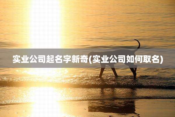 实业公司起名字新奇(实业公司如何取名)