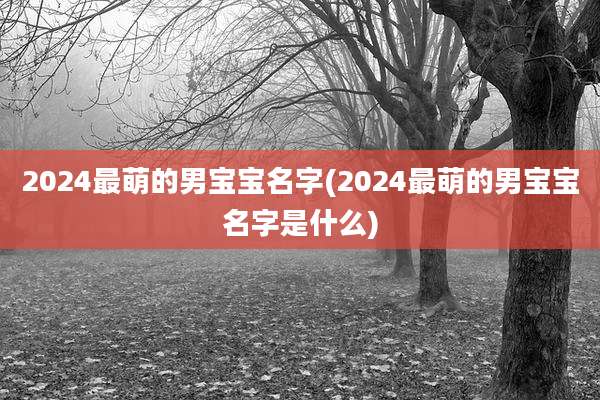 2024最萌的男宝宝名字(2024最萌的男宝宝名字是什么)