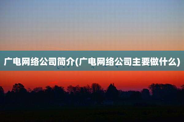 广电网络公司简介(广电网络公司主要做什么)