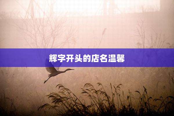 辉字开头的店名温馨