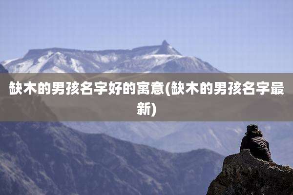 缺木的男孩名字好的寓意(缺木的男孩名字最新)