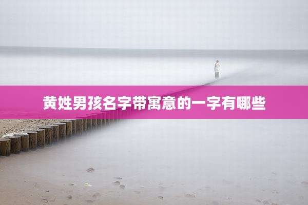 黄姓男孩名字带寓意的一字有哪些
