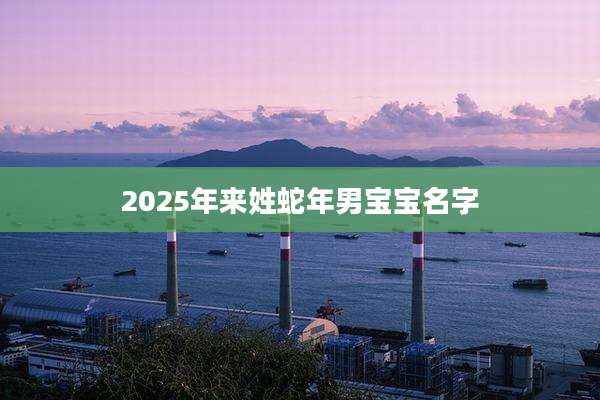 2025年来姓蛇年男宝宝名字