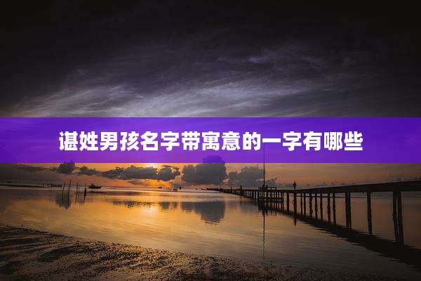 谌姓男孩名字带寓意的一字有哪些