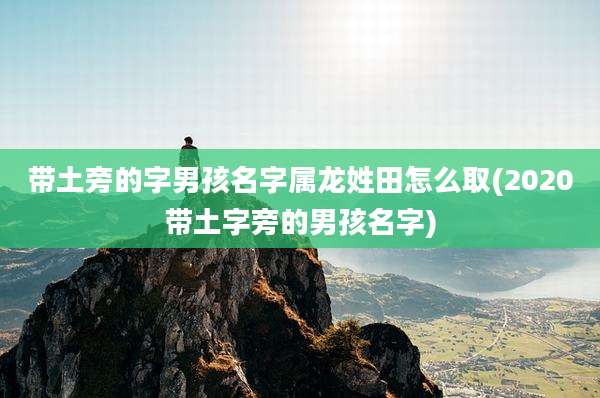 带土旁的字男孩名字属龙姓田怎么取(2020带土字旁的男孩名字)