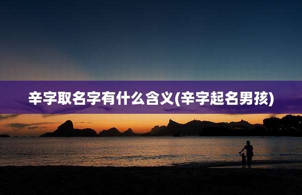 辛字取名字有什么含义(辛字起名男孩)