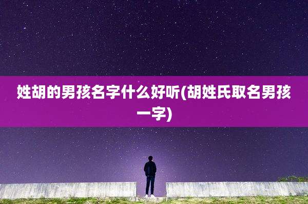 姓胡的男孩名字什么好听(胡姓氏取名男孩一字)