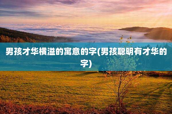 男孩才华横溢的寓意的字(男孩聪明有才华的字)