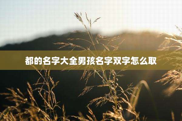 都的名字大全男孩名字双字怎么取