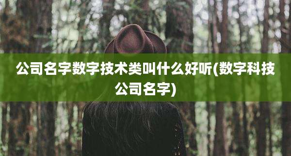 公司名字数字技术类叫什么好听(数字科技公司名字)