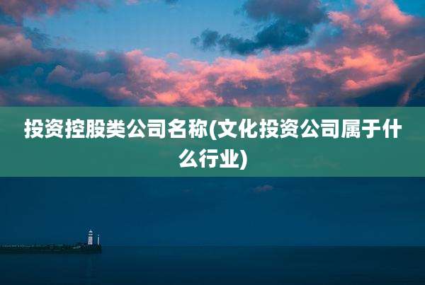 投资控股类公司名称(文化投资公司属于什么行业)