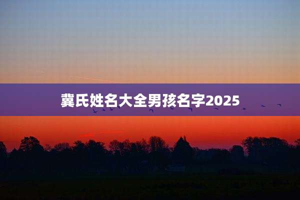 冀氏姓名大全男孩名字2025