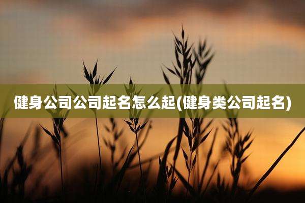 健身公司公司起名怎么起(健身类公司起名)