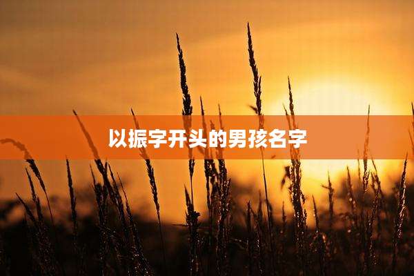 以振字开头的男孩名字