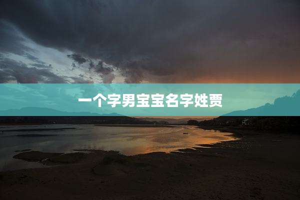 一个字男宝宝名字姓贾