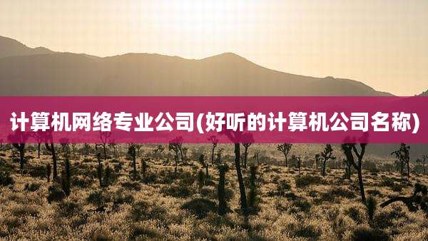计算机网络专业公司(好听的计算机公司名称)