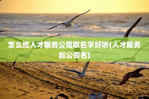 怎么给人才服务公司取名字好听(人才服务起公司名)