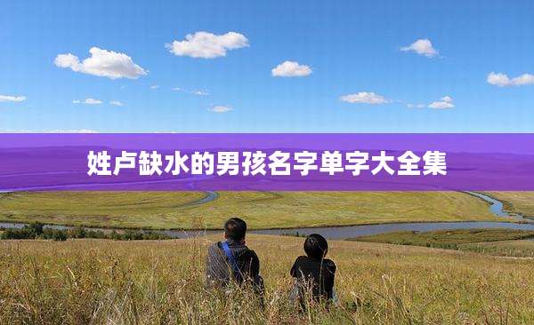 姓卢缺水的男孩名字单字大全集