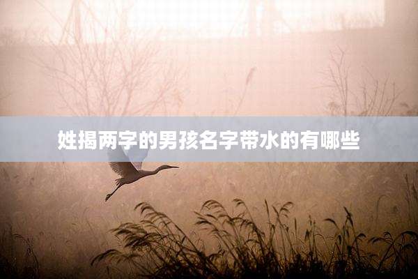 姓揭两字的男孩名字带水的有哪些
