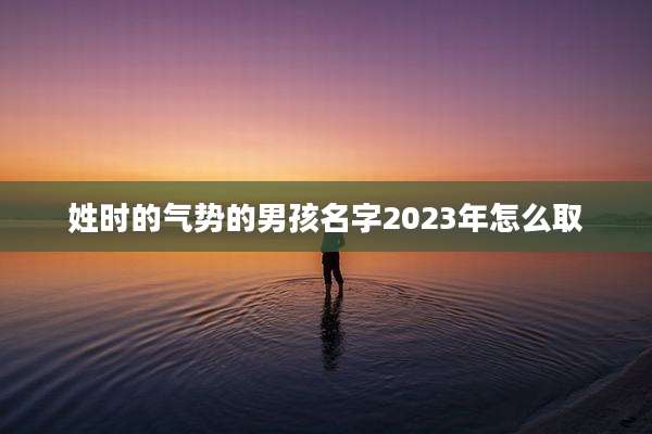姓时的气势的男孩名字2023年怎么取