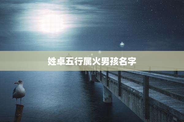 姓卓五行属火男孩名字